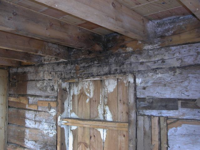 Fuktskada markplanet